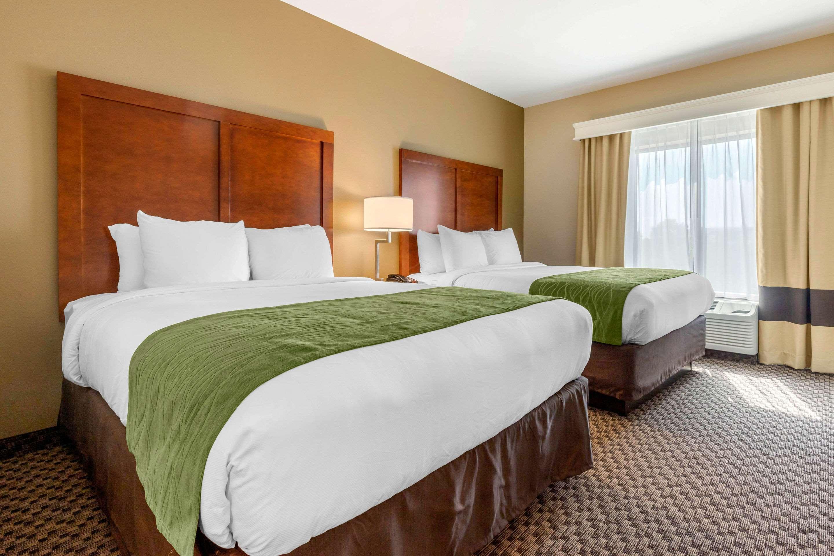 Comfort Inn & Suites Florence Buitenkant foto