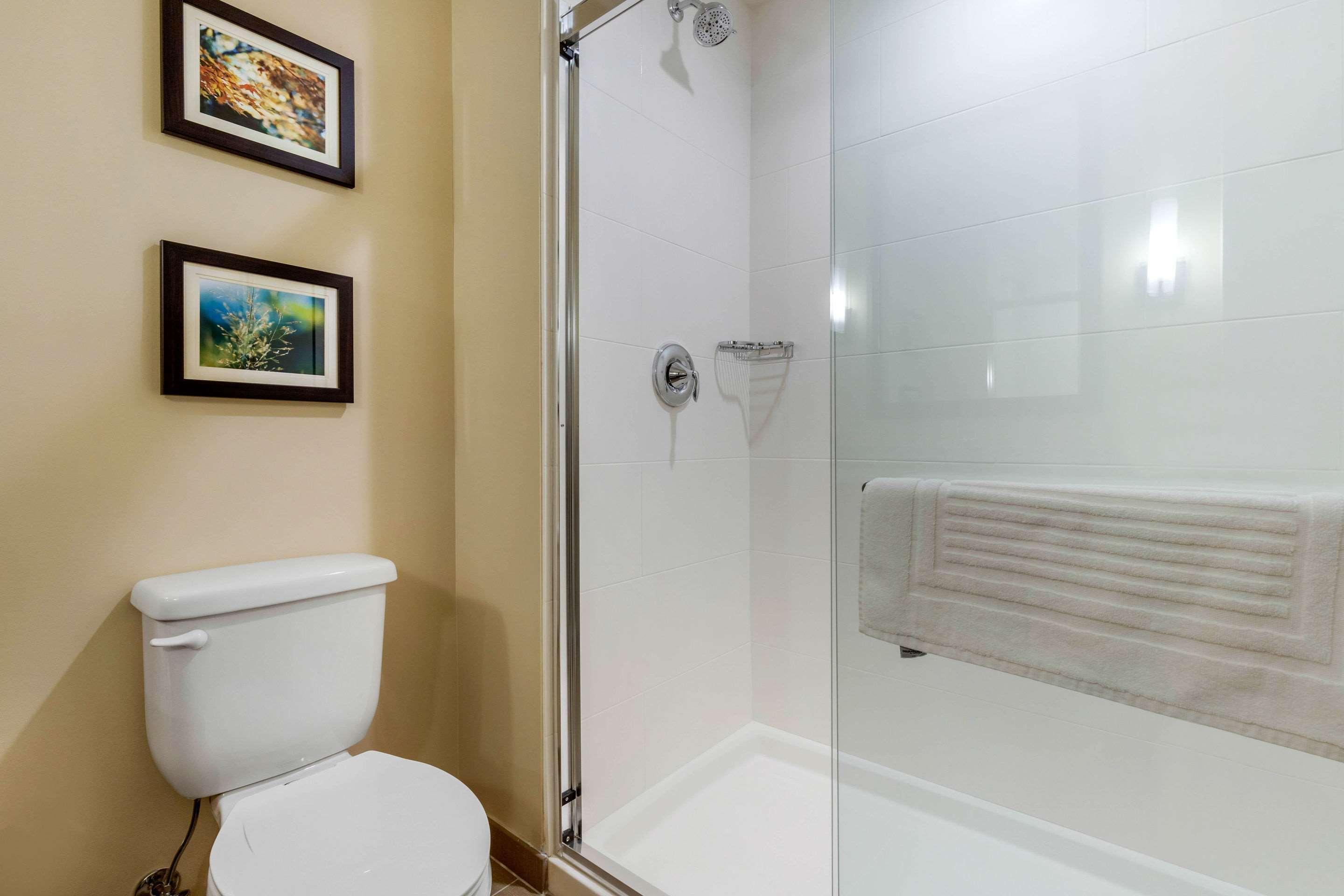 Comfort Inn & Suites Florence Buitenkant foto